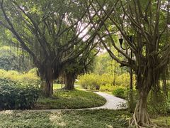 -东莞植物园