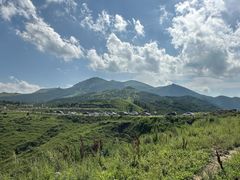-灵山