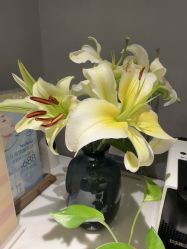 -Girmainy SPA杰美妮