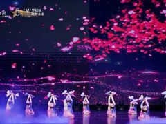 -DC少儿舞蹈培训中心(人民桥店)