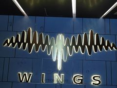 -WFC会仙楼观景台