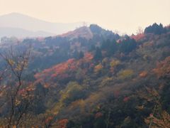 -北京西山国家森林公园