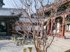 -宫事颐庭·老佛爷贵寿下午茶(颐和园店)