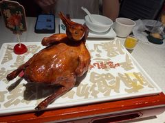 -大鸽饭(动物园店)