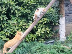 -春兰国宾馆(凤城河风景区老街店)