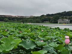 -岗子村(地铁站)