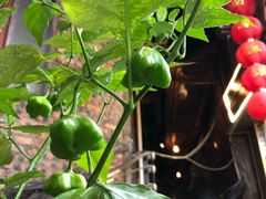 -和福餐馆(西江古街店)