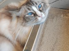 -白兔子密室(长寿路店)