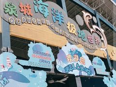 -泉城欧乐堡海洋极地世界