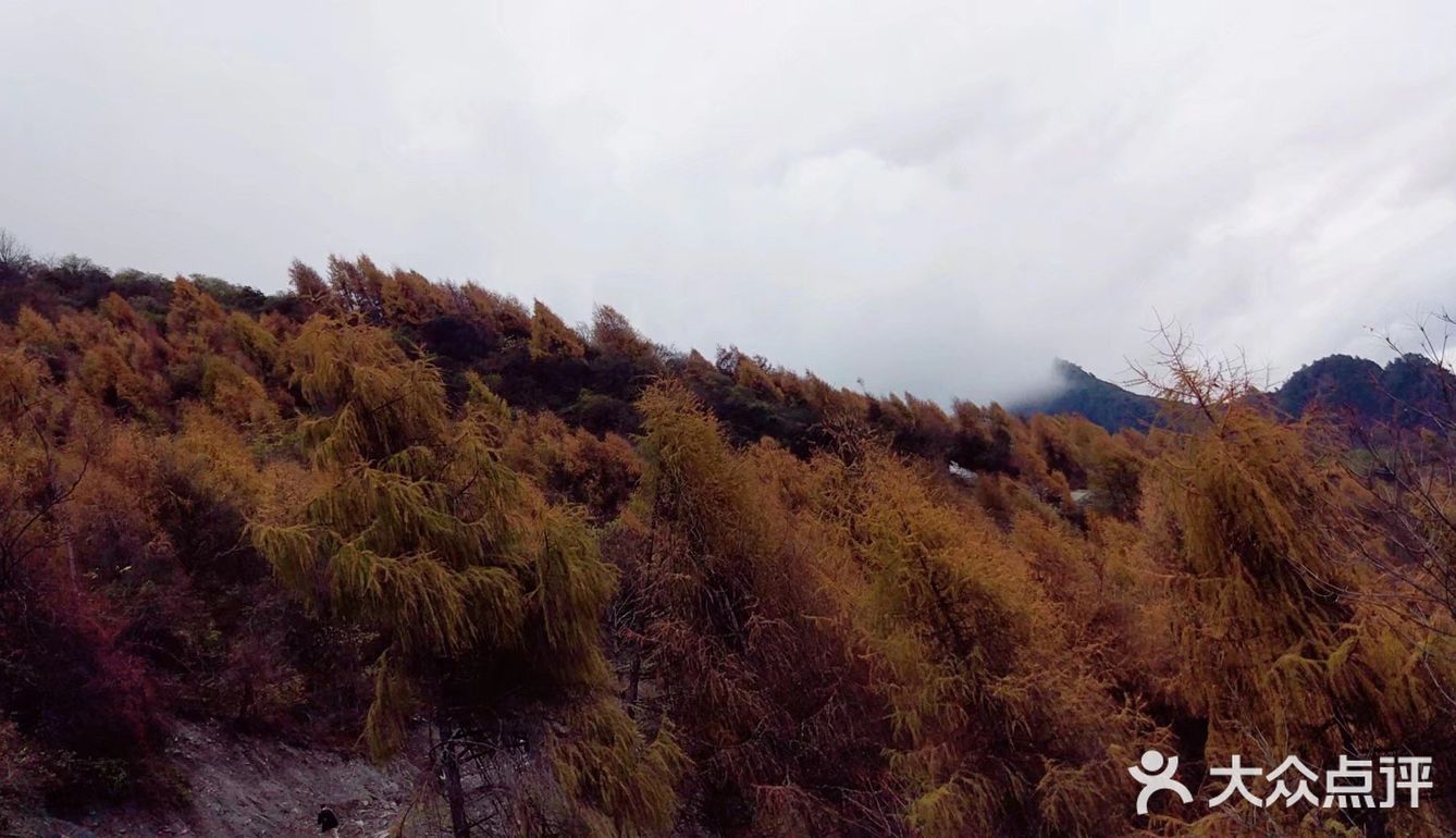 成都周边网红打卡地,红叶徒步两不误