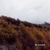 成都周边网红打卡地,红叶徒步两不误