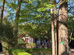 -青岛崂山太清宫