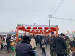 -蒲河大集