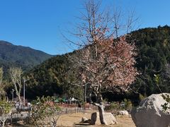 -梁野山景区