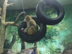 -福州罗源湾海洋世界旅游区