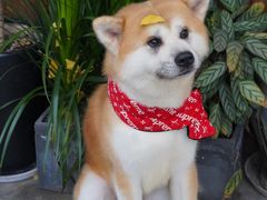 -FUTURE LOUNGE(太古里店)