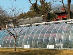 -红螺寺
