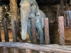 -长鹿旅游休博园