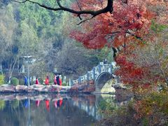 -重庆彩云湖湿地公园