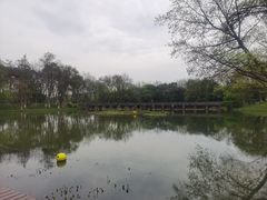 -西溪国家湿地公园