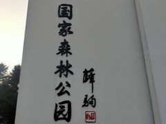 -四明山国家森林公园