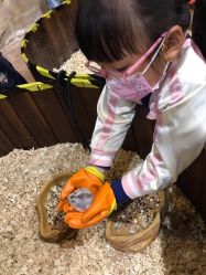 -宝燕乐园(闵行旗舰店)