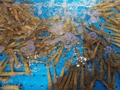 -箸福·夜上海(月牙湖公园店)