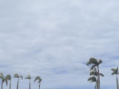 -三亚亚龙湾万豪度假酒店