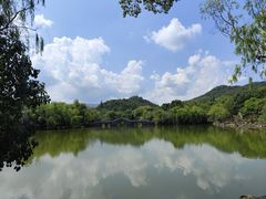 -天下玉苑