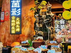 -菌彩云南野生菌火锅(万达广场店)
