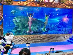 -太奥幻太奇海洋馆