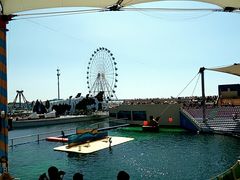 -秦皇岛乐岛海洋王国