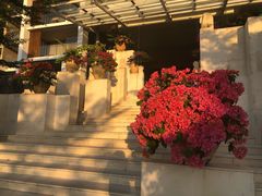 -巴厘岛乌鲁瓦图安纳塔拉度假酒店