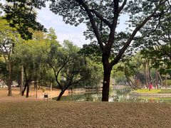 -晓港公园