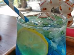 -柴犬高等学院·狗咖·柴犬售卖·宠物训练