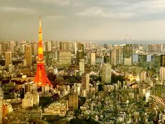 -六本木新城展望台(东京城市景观)