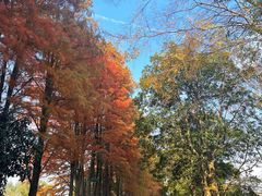 -西溪国家湿地公园