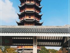 -红梅公园