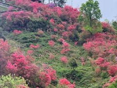 -岳西天峡风景区