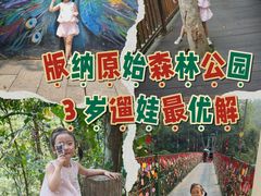 -西双版纳原始森林公园