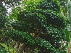 -祥源·阜阳生态乐园