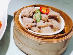 -南枝记