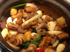 -大榕树下顺德菜(融创茂店)