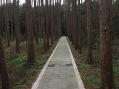 -同里国家湿地公园
