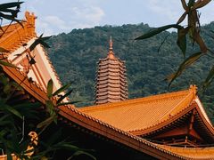 -深圳仙湖植物园