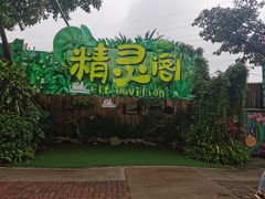 -广州长隆飞鸟乐园