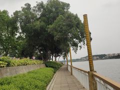 -仙湖旅游度假区