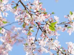 -WEPARK 芳草寓