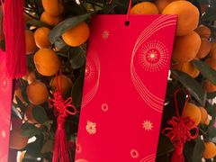 -羿庭 Peacock Alley(上海外滩华尔道夫酒店)