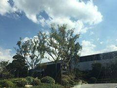 -上海崇明金茂凯悦酒店